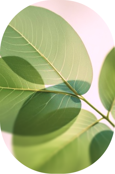 Why Choose Mindful Space